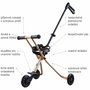 Micro Trike Deluxe Gold (5)