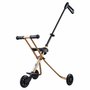 Micro Trike Deluxe Gold (4)